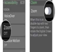 Zoom 2015