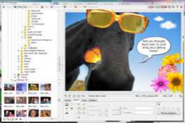 PhotoScape Portable 3