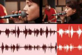 MAGIX Sound Forge Audio Studio 10
