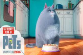 The Secret Life Of Pets Kd