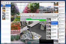IP Camera Viewer 1