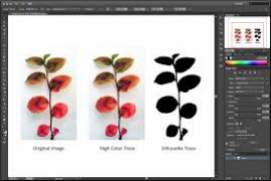 Adobe Master Collection cs6